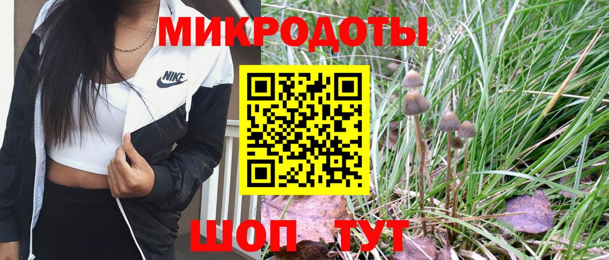 Галлюциногенные грибы мицелий Горно-Алтайск