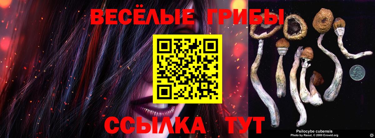 Псилоцибиновые грибы MAGIC MUSHROOMS  Вход с VPN  Горно-Алтайск 